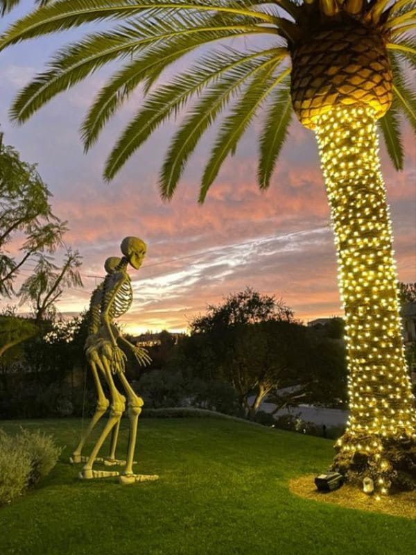 Giant Skeleton and Twinkling Palm Halloween Yard Decor