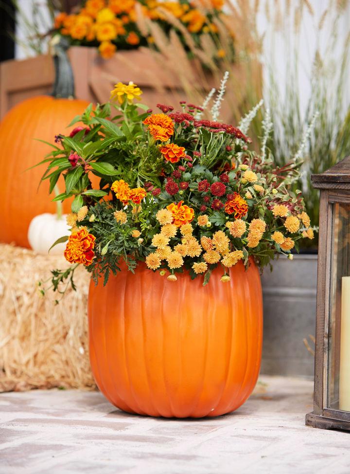 Pumpkin Planter