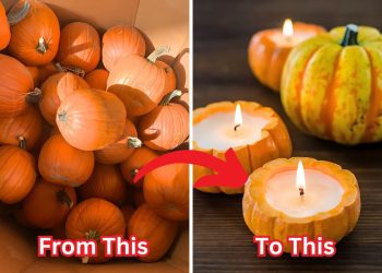 How to Reuse Pumpkins Creatively and Effectively