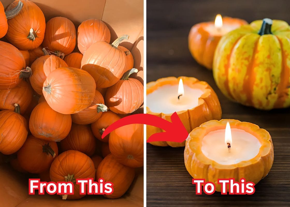 Instead of Tossing Pumpkins, The Following Ways Help You Reuse Them Creatively And Effectively