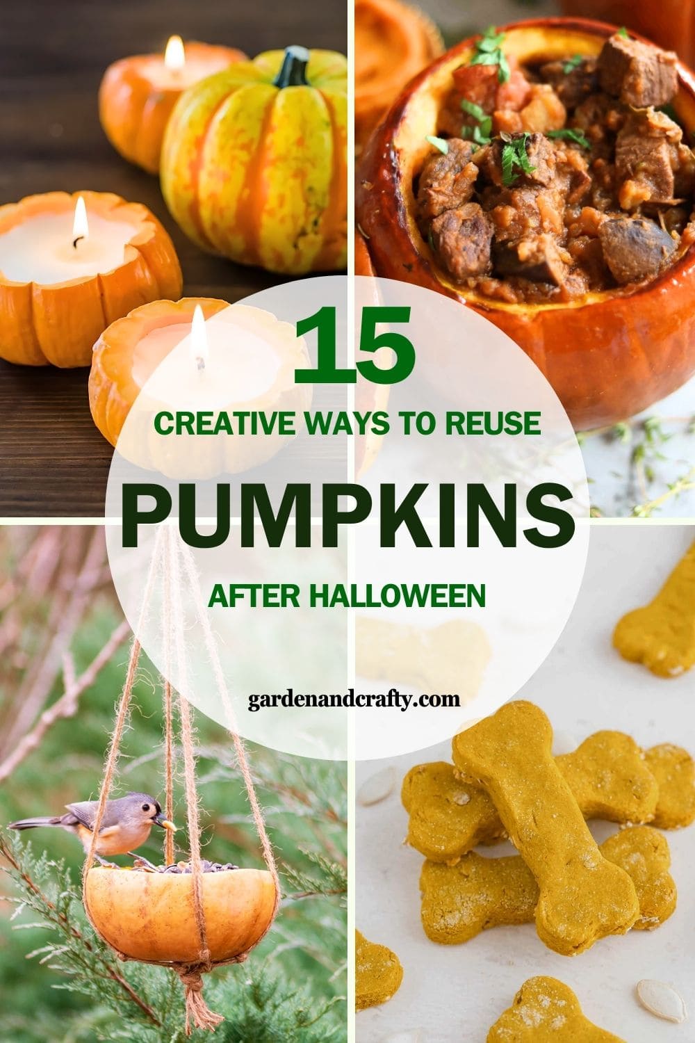 Instead of Tossing Pumpkins, The Following Ways Help You Reuse Them Creatively And Effectively