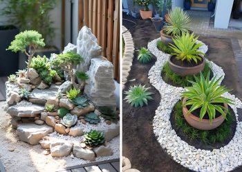 Mini Rock Garden Ideas