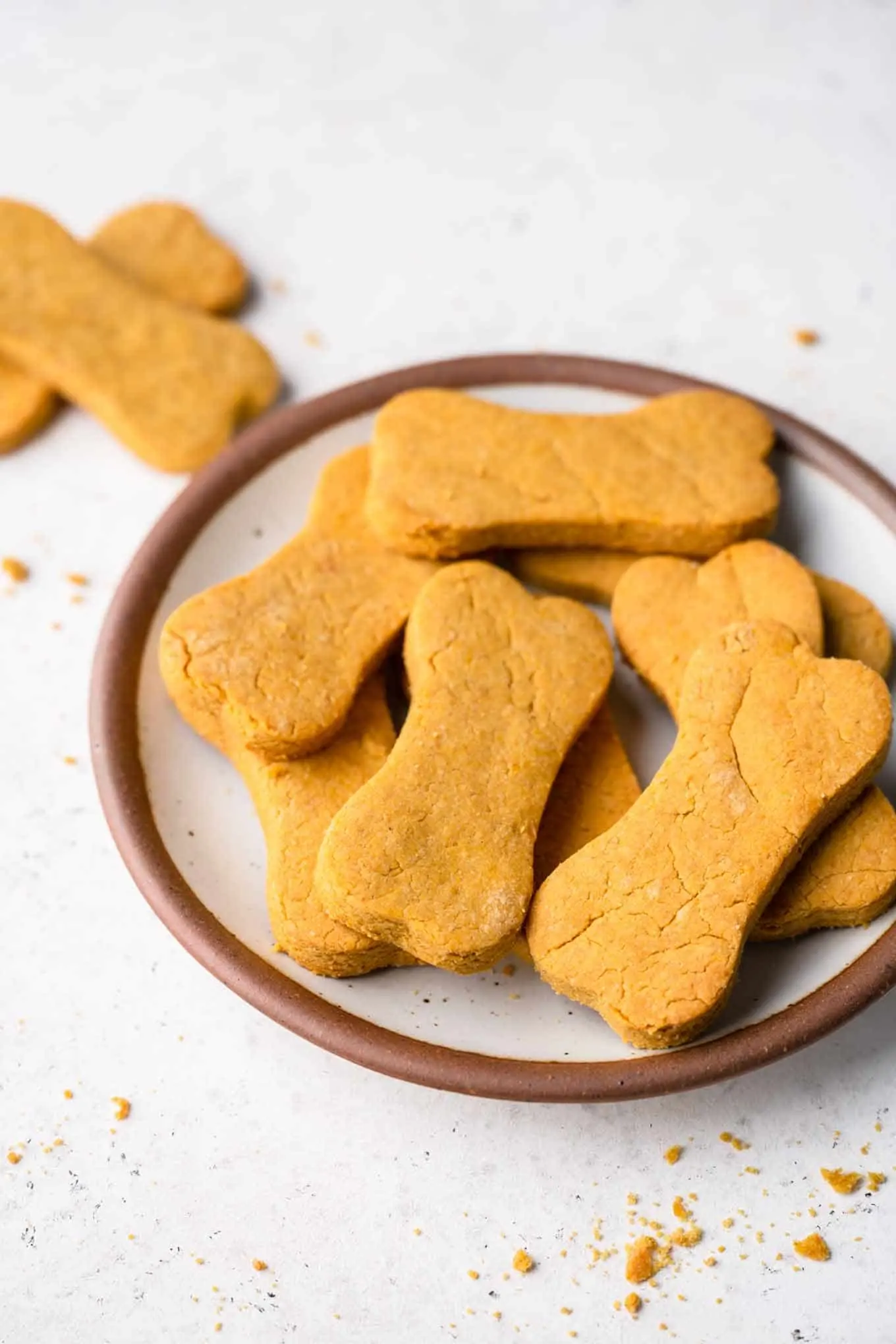 Pumpkin Dog Biscuits