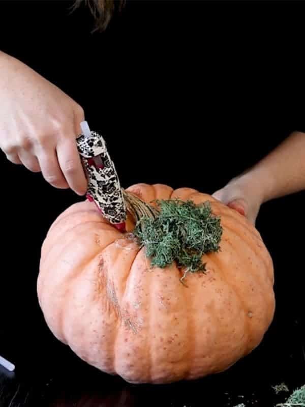 Prep the Pumpkin