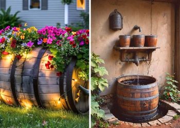 Repurposed Old Wine Barrel Ideas