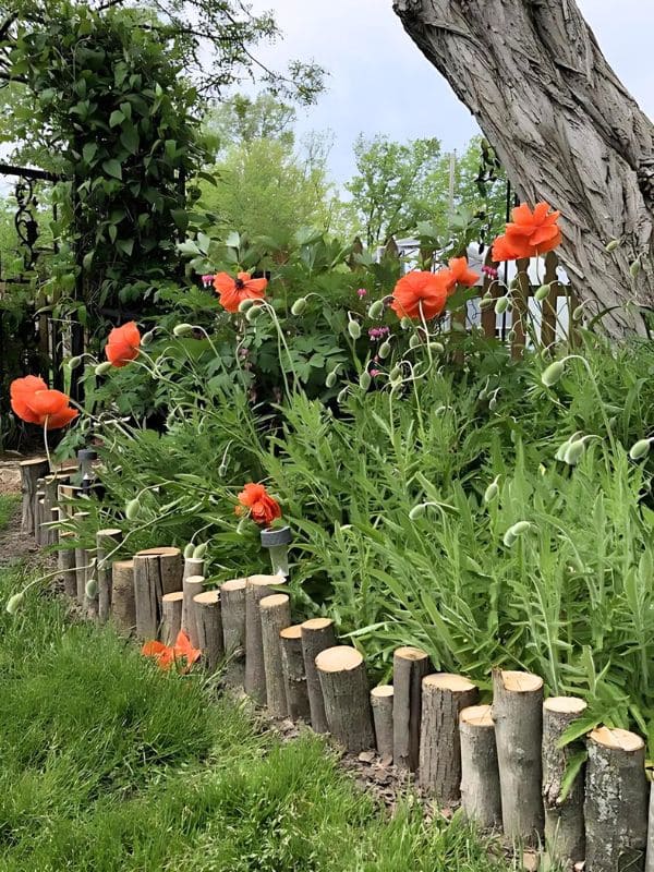 Rustic Log Fence Garden Border