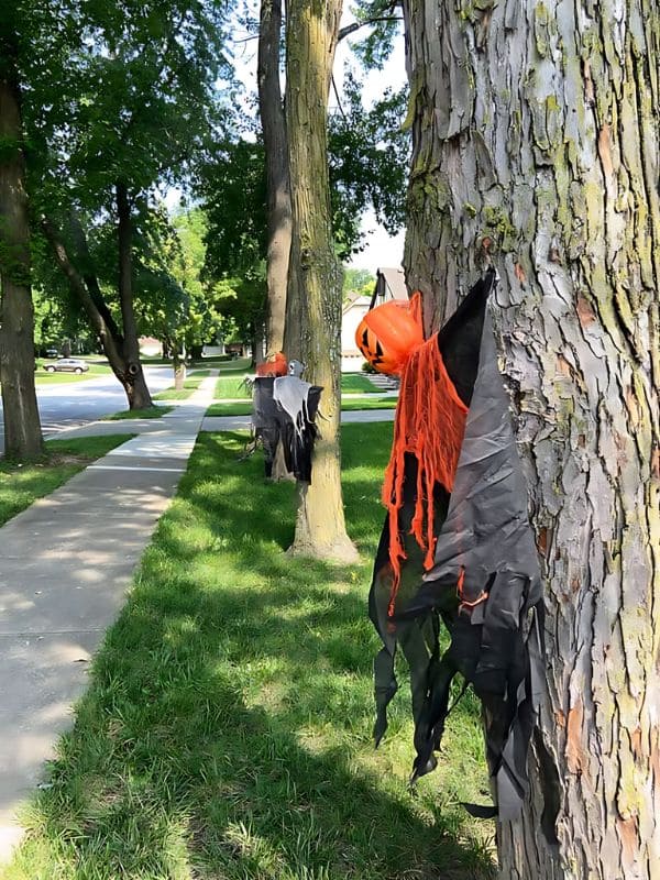 Spooky Draped Pumpkin Faces