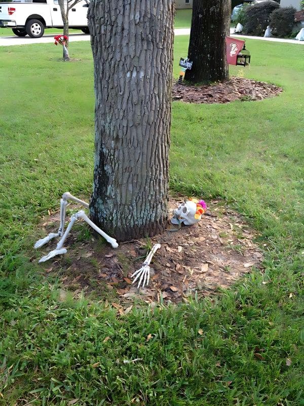 Spooky Skeleton Surprise Halloween Tree 