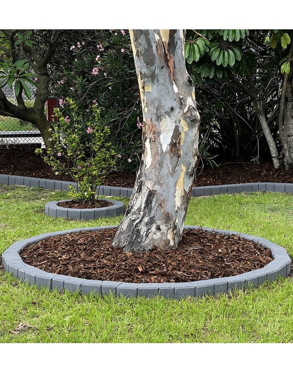 Stylish Circular Tree Border Design