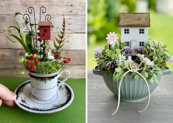 Teacup Garden Ideas
