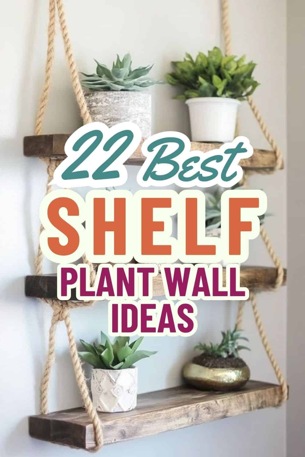 The 22 Best Plant Wall Shelf Ideas for Your Indoor Styling