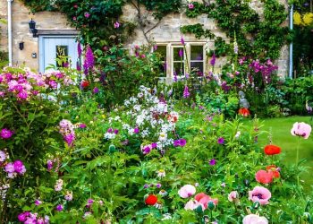 Top 21 Cottage Garden Ideas to Create a Dreamy Outdoor Escape