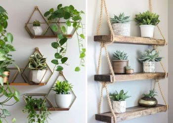 Top 22 Best Plant Wall Shelf Ideas for Your Indoor Styling