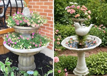 Upcycled Old Birdbaths
