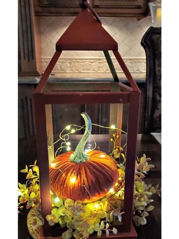 Velvet Pumpkin Lantern Glow