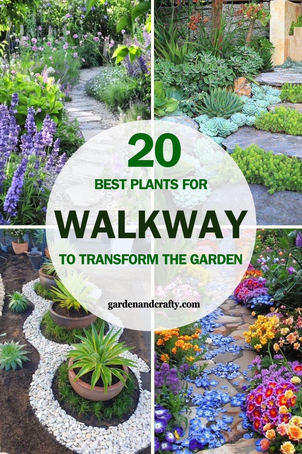 Your Walkway Will Be Transformed Thanks to These Plants'