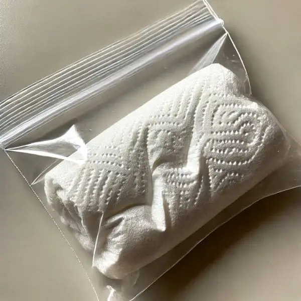 Place a Damp Paper Towel in A Plastic Baggie