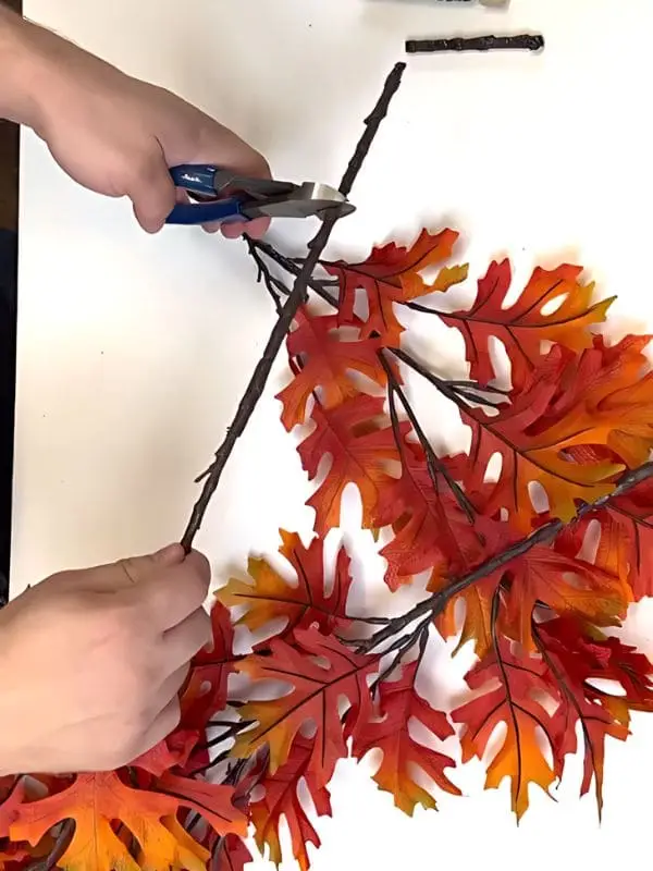 Trim the Ends of the Leaf Stems