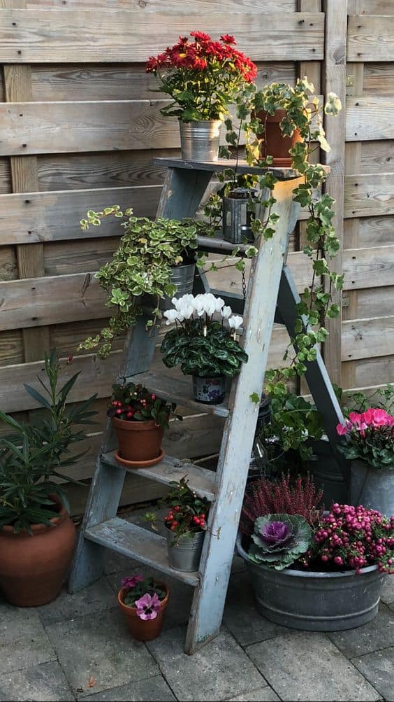 Ladder Plant Stand