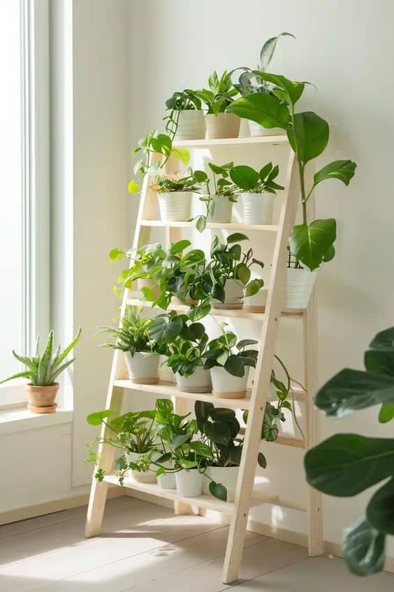 Elegant Ladder Plant Shelf