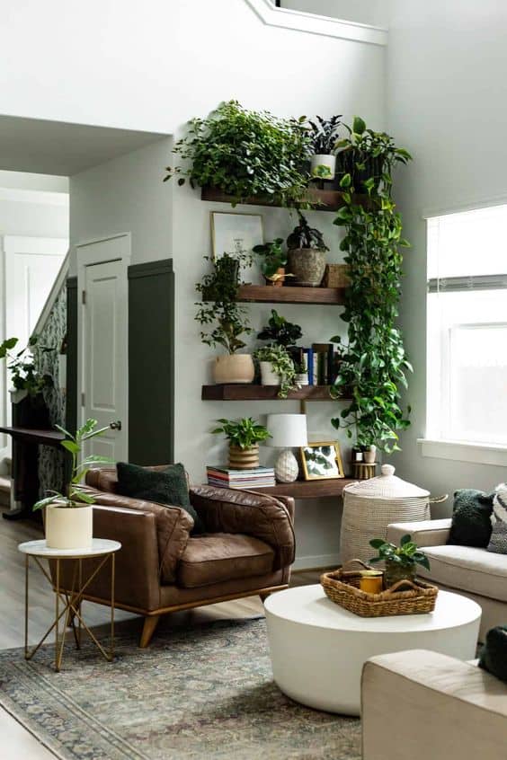 Modern Floating Plant Haven