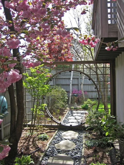 Blossom-Framed Moon Gate