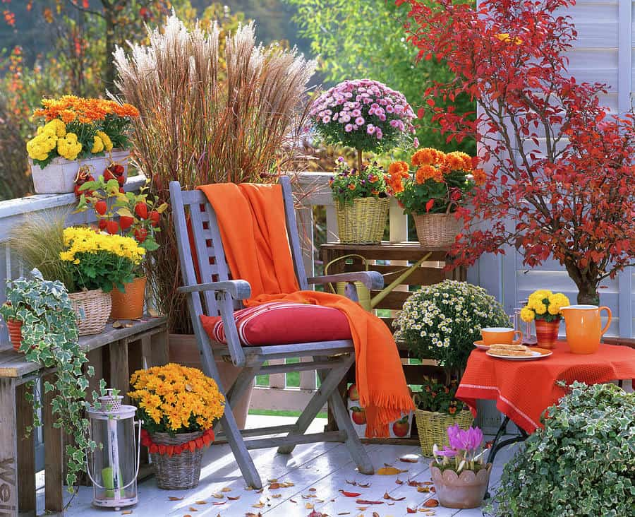 Vibrant Fall Balcony Bliss