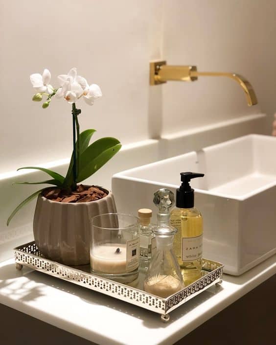 Orchid Luxe Vanity Display