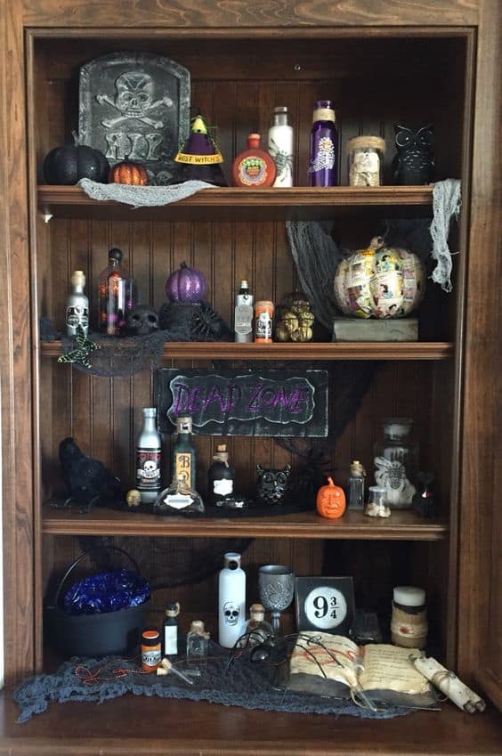 Mystical Voodoo Vibes Potion Shelf Halloween