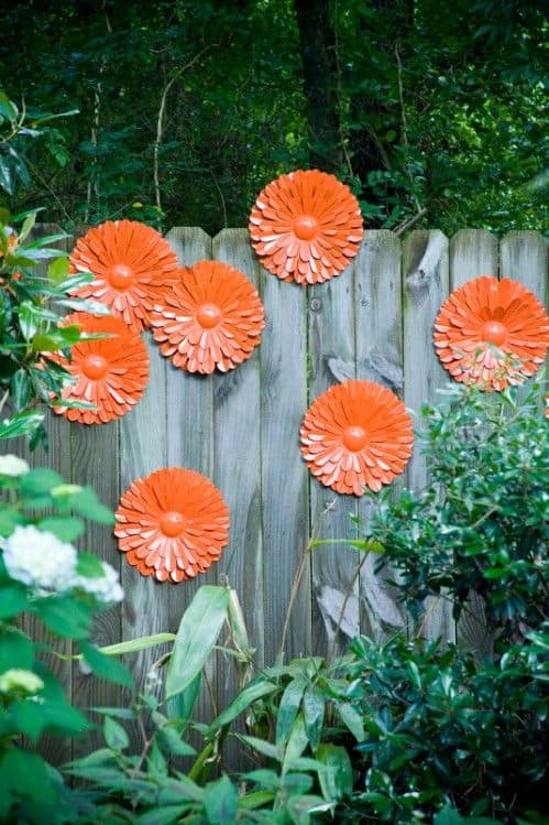 Bold Orange Fence Blooms