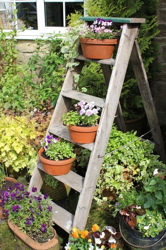 Rustic Ladder Flower