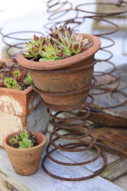 Rustic Spring Planters