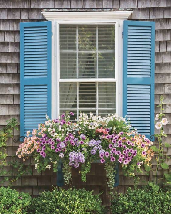 Vibrant Window Box Blooms