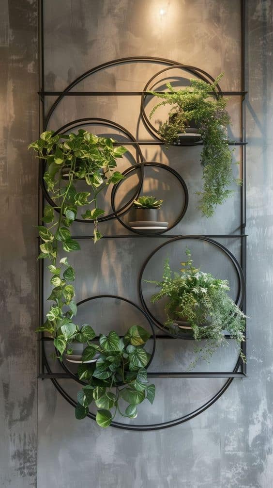 Modern Circular Plant Wall Display