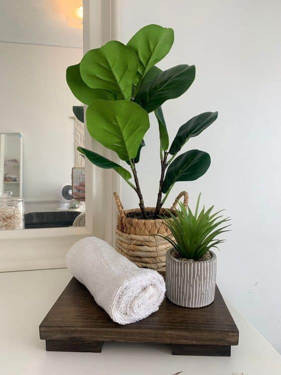 Natural Greenery Bathroom Refresh