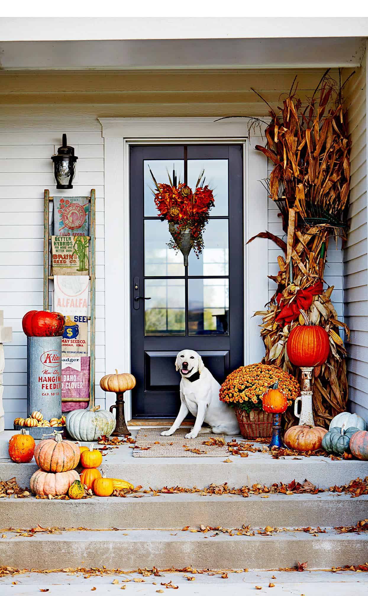 Farmhouse Porch with Pumpkins and Cornstalks