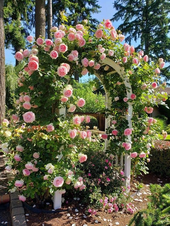 Whimsical Rose-Covered Archway