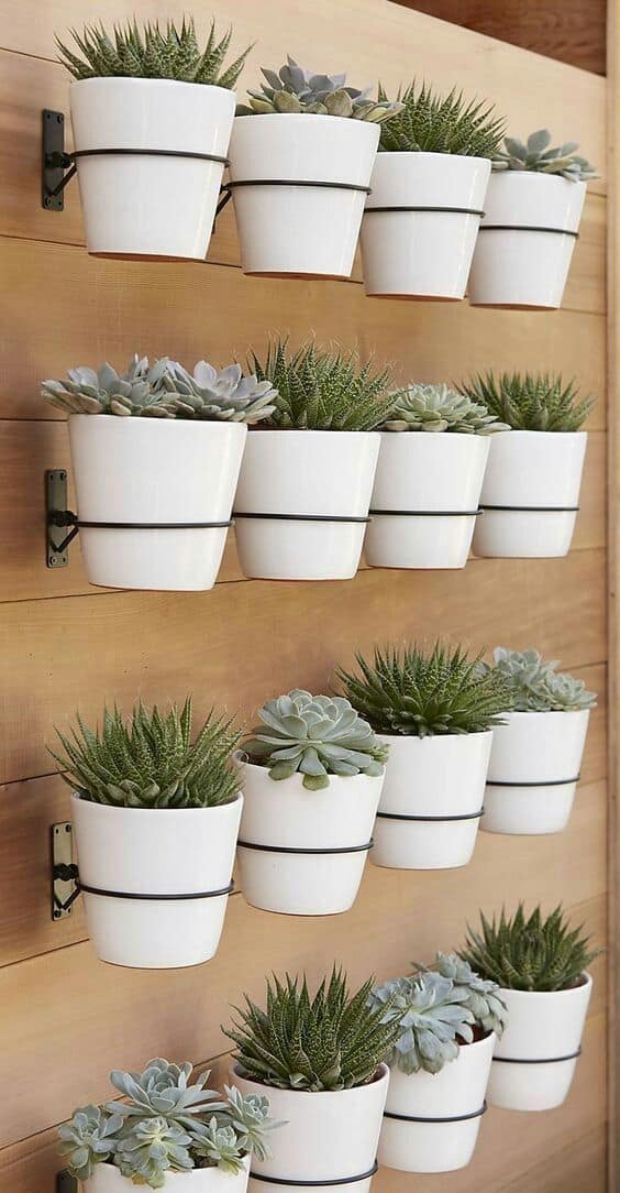 Minimalist Vertical Planter