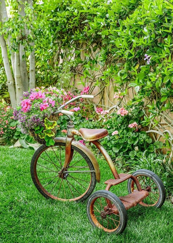 Vintage Tricycle Planter Display