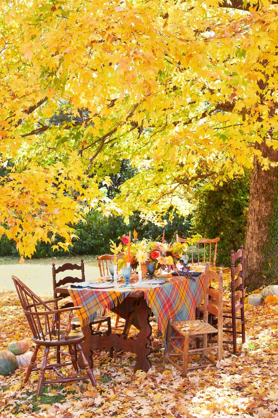 Autumn Garden Dining