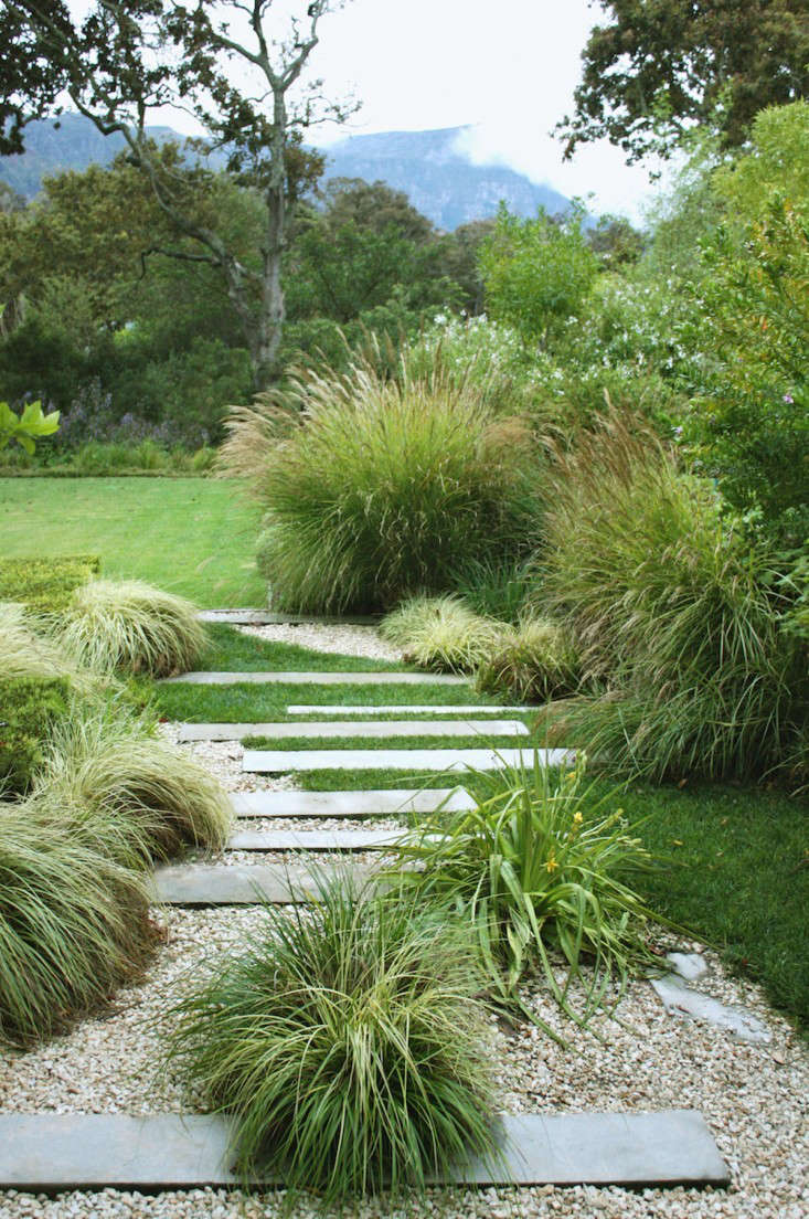 Ornamental Grasses