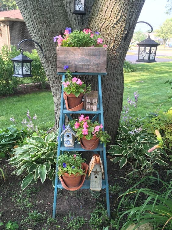 Charming Ladder Planter Display