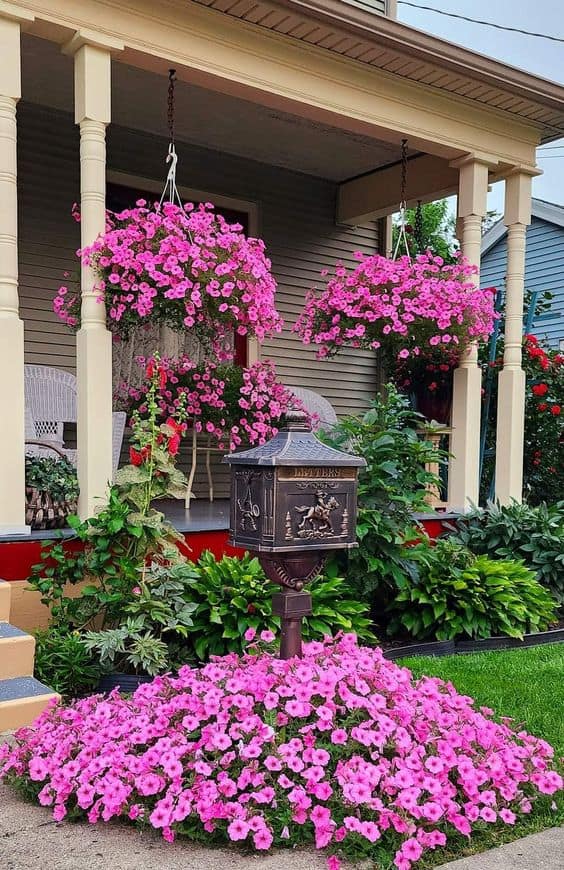 Vibrant Pink Petunia Paradise