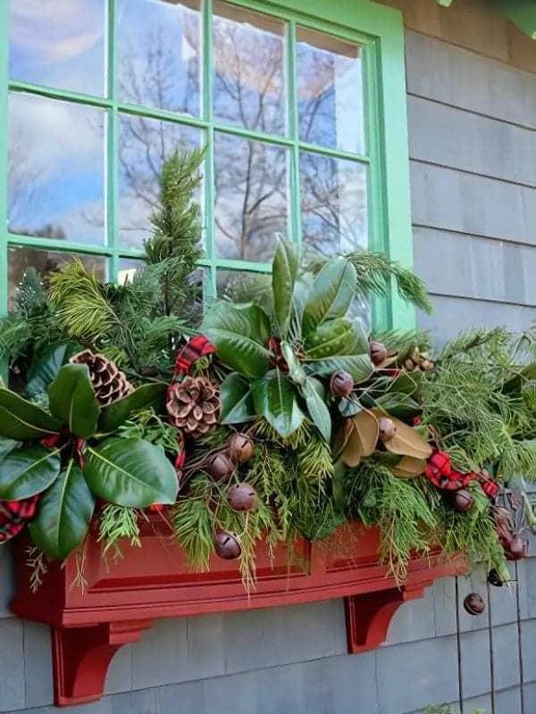 Lush Magnolia Pinecone Christmas Window Box