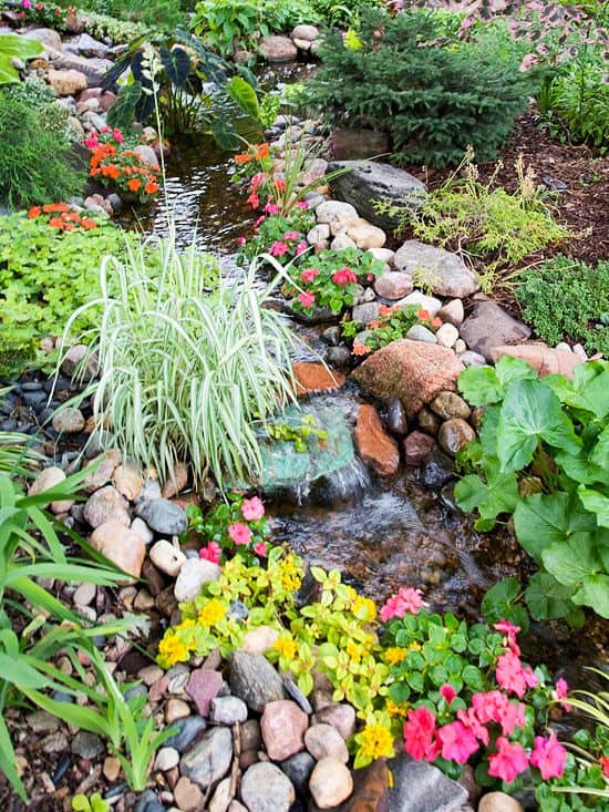 Colorful Stream Garden Oasis