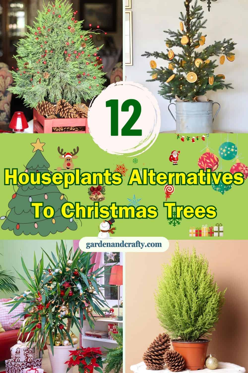 12 Stunning Houseplant Alternatives to Traditional Christmas Trees