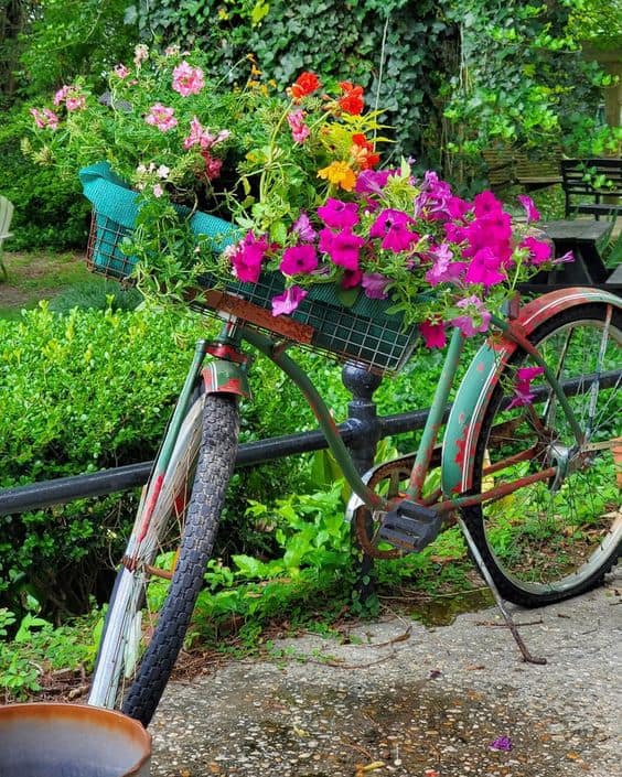 Charming Bicycle Planter