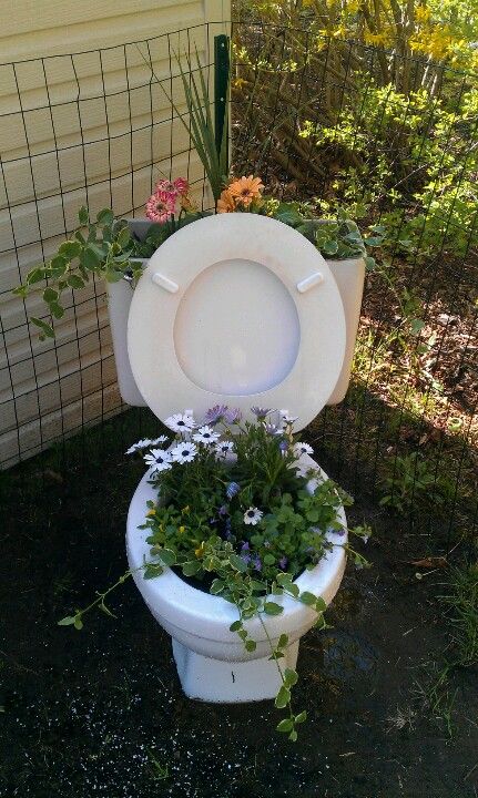 Quirky Toilet Flower Planter