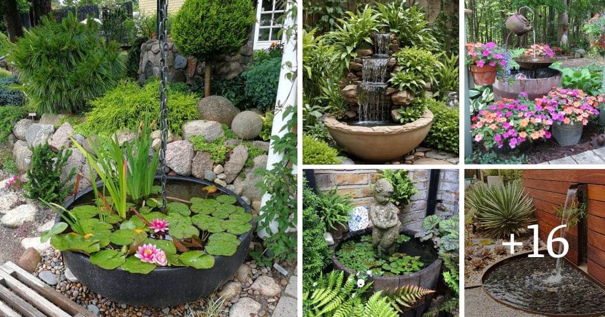 Image showcasing 20 Inspiring Water Garden Ideas to Elevate Your Outdoor Space