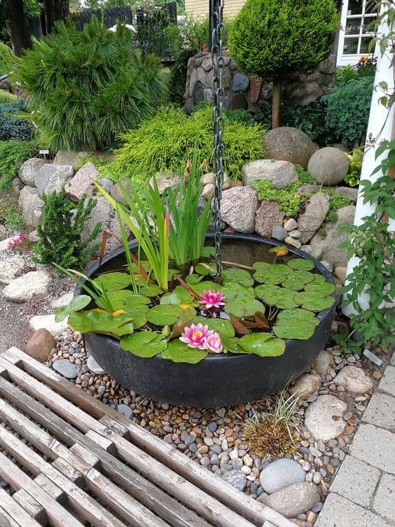 Hanging Lily Pond Haven